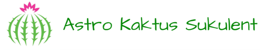 Astro Kaktüs Sukulent
