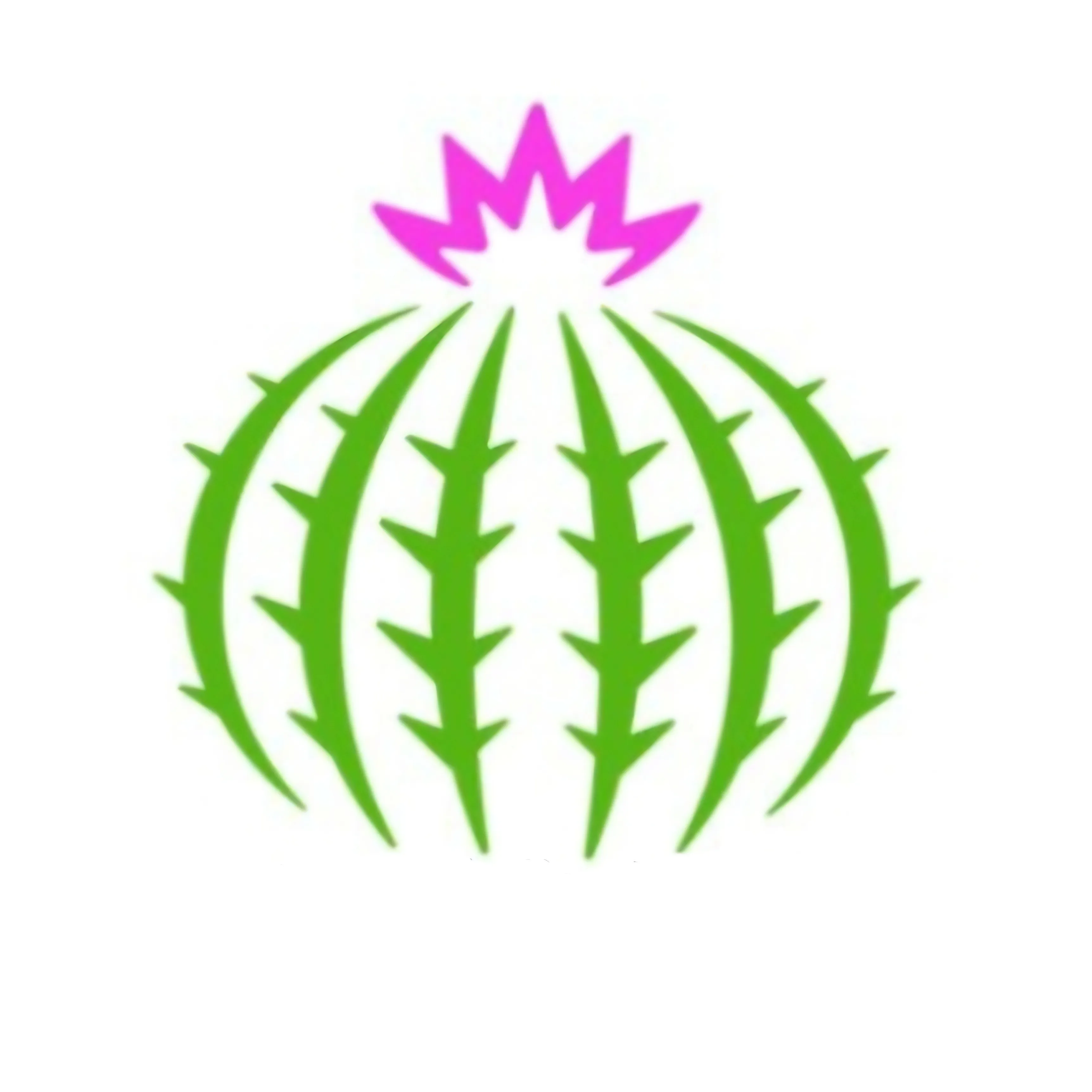 Sukulent ruyası 
